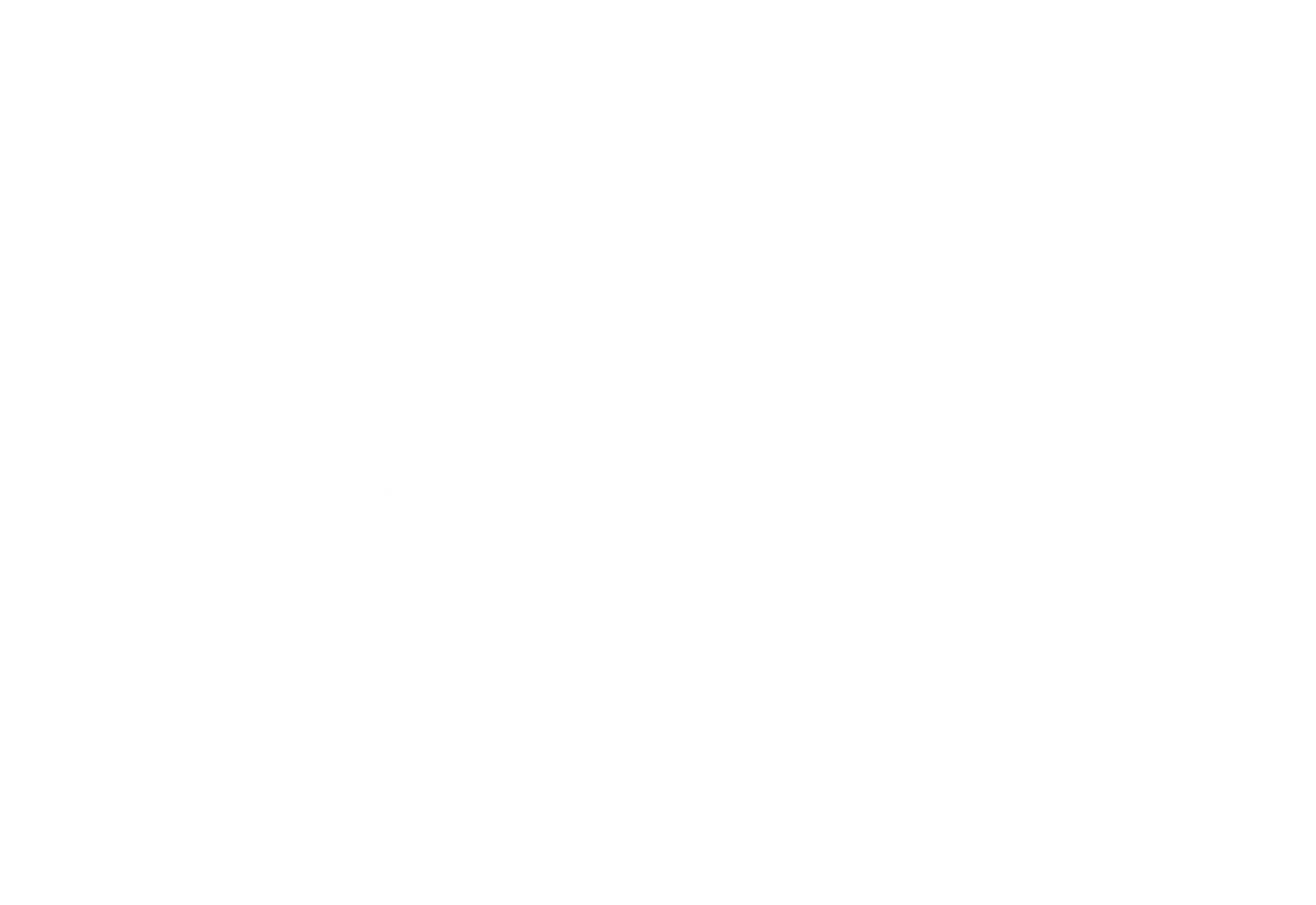 Barcelona International Film Festival_Moving Out